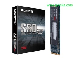 HD SSD M.2 PCIE 256GB GIGA GP-GSM2NE8256GNTD