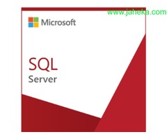 SOFTWARE MICROSOFT SQL SERVER STD EDITION 2017 SNGL OLP NL Y LICENCIAS