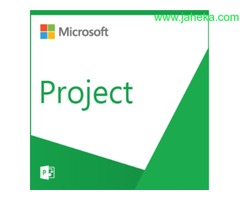 SOFTWARE MICROSOFT PROJECT STANDARD 2019 OLP NL Y LICENCIAS