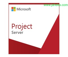 SOFTWARE MICROSOFT PROJECT SERVER 2016 SNGL OLP NL Y LICENCIA